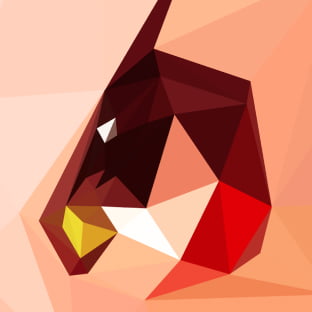 apapico